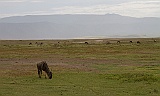 View at the bottom of the crater